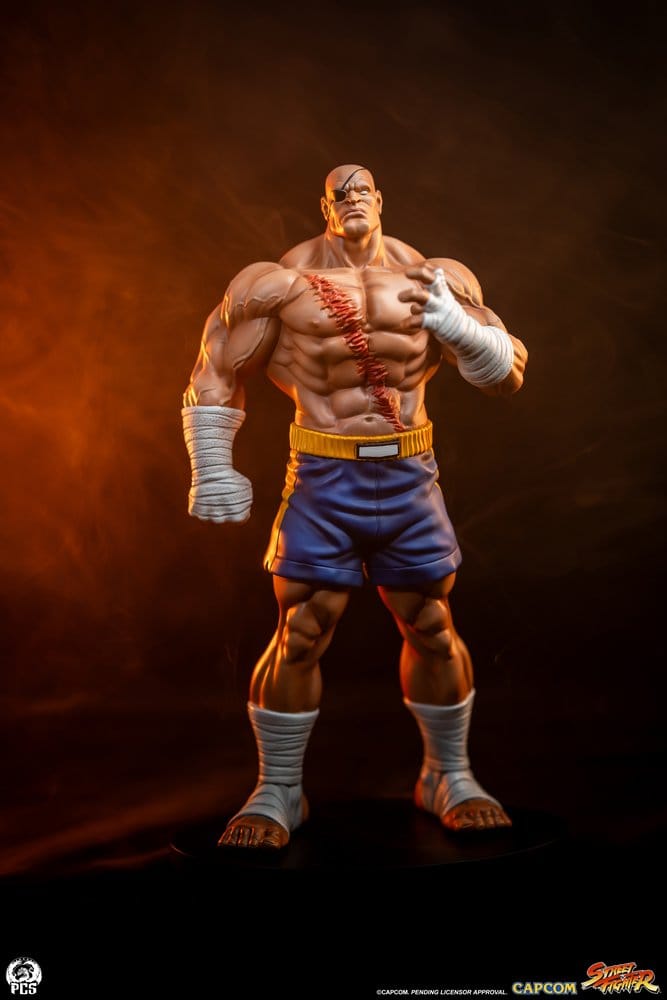 Street Fighter Street Jam Figur 1:10 Sagat & Juli 24 cm