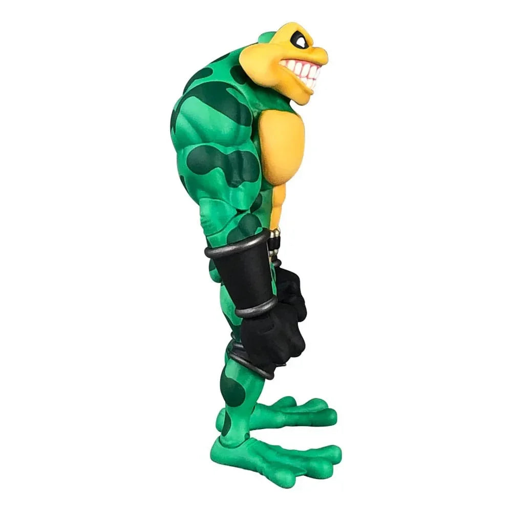 Battletoads Anthology Series Action Figur Wave 1: Zitz 15 cm Premium DNA Toys