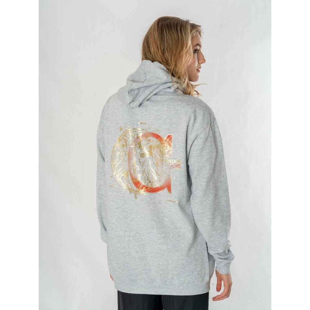 Harry Potter Hooded Sweater Gryffindor Zodiac