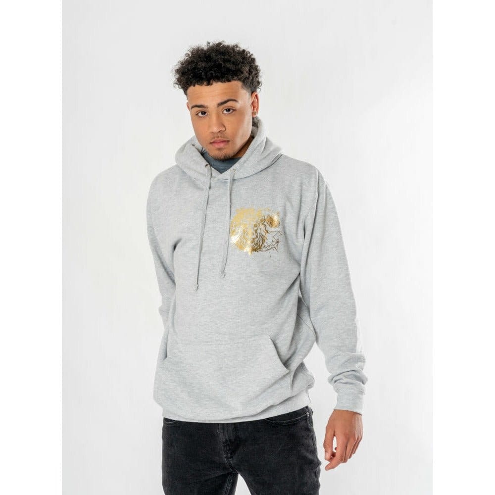 Harry Potter Hooded Sweater Gryffindor Zodiac