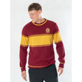 Harry Potter Tröja Gryffindor