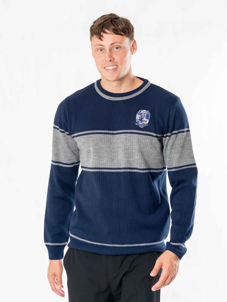 Harry Potter Tröja Ravenclaw Storlek S