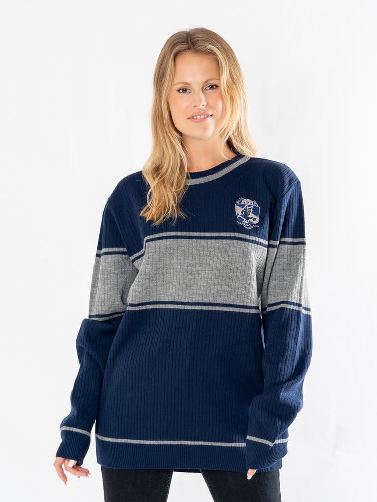 Harry Potter Sweater Ravenclaw