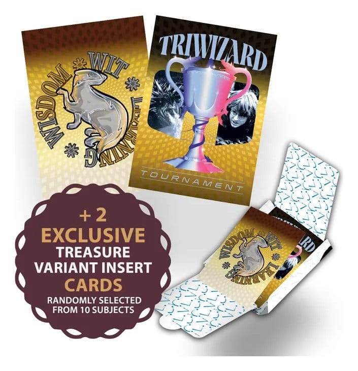 Harry Potter Premium Treasure Box