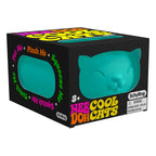 NeeDoh Squeeze Figures 11 cm Cool Cats Display (12) Schylling