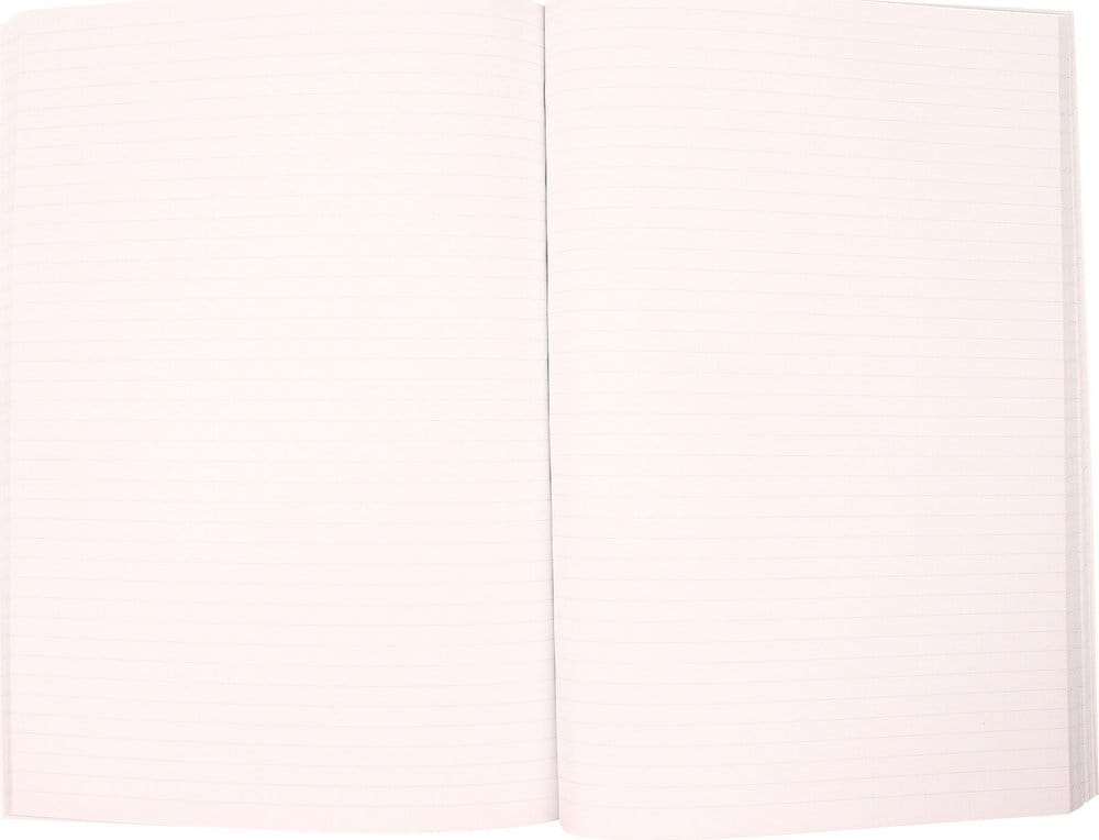 Back to the Future Premium Notebook Sports Almanac
