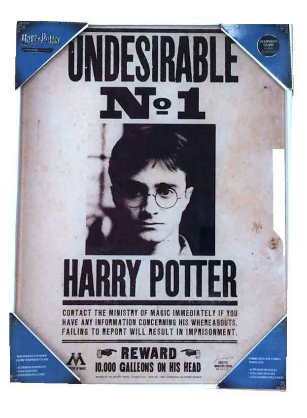 Harry Potter Glasposter Oönskad Nr 1 30 x 40 cm
