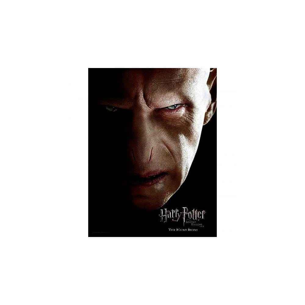 Harry Potter Glassposter Voldemort 30 x 40 cm