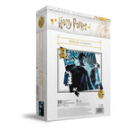 Harry Potter Pussel med 3D-Effekt: Halvblodsprinsen (100 bitar) SD Toys