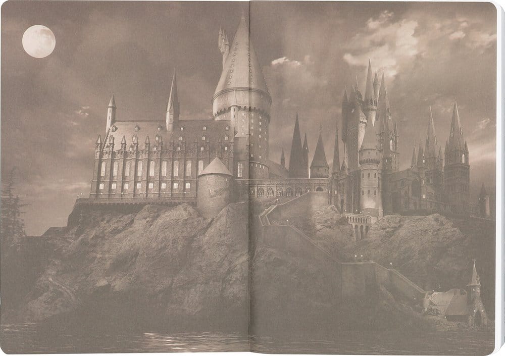 Harry Potter Softcover Notebook Hufflepuff 21 cm