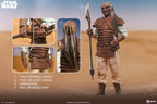 Return of the Jedi Action Figur 1/6 Pagetti Rook 32 cm Sideshow Collectibles