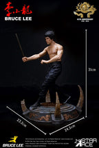 Enter the Dragon Film Figur 1/6 Bruce Lee Kali Sticks Kamp Normal Källarversion 30 cm Star Ace Toys