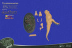 Wonders of the Wild T-Rex Resin Model Kit 37 cm Star Ace Toys