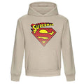 DC Comics Hooded Sweater Superman Classic Logo Storlek S Heroes Inc