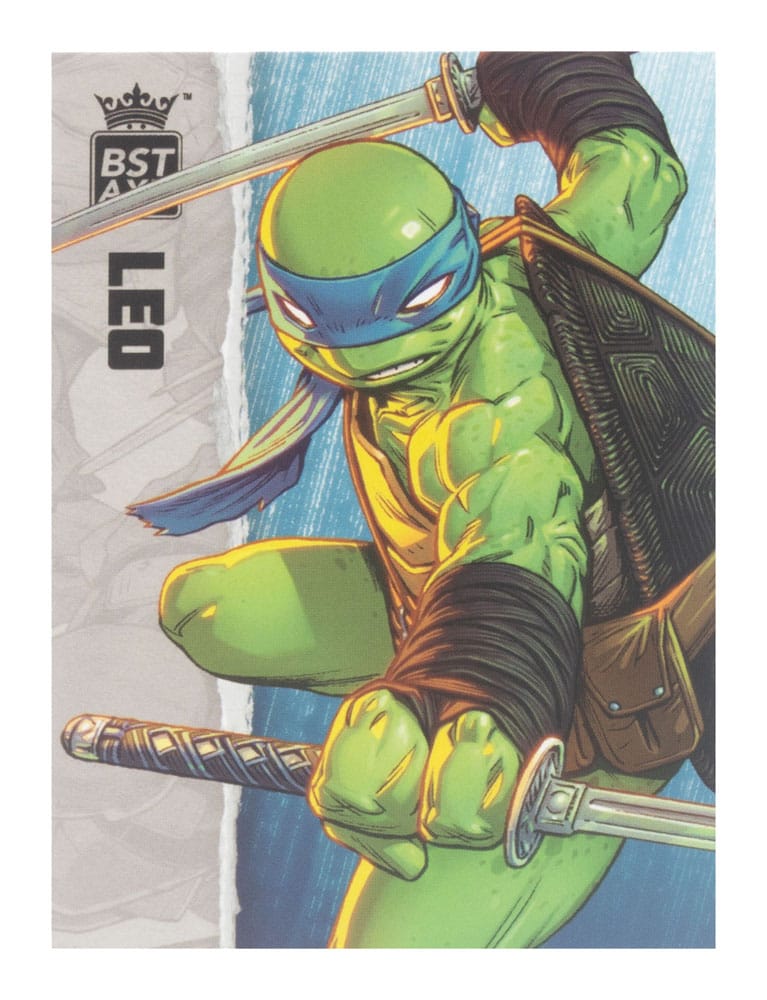 Teenage Mutant Ninja Turtles BST AXN Actionfigur Leonardo (IDW Comics) 13 cm The Loyal Subjects