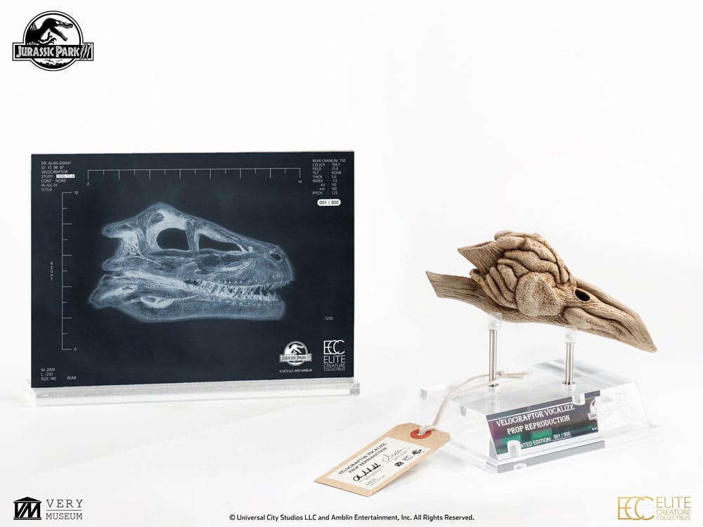 Jurassic Park III Prop Replica 1/1 Velociraptor Resonance Chamber 18 cm Elite Creature Collectibles