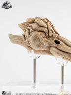 Jurassic Park III Prop Replica 1/1 Velociraptor Resonance Chamber 18 cm Elite Creature Collectibles