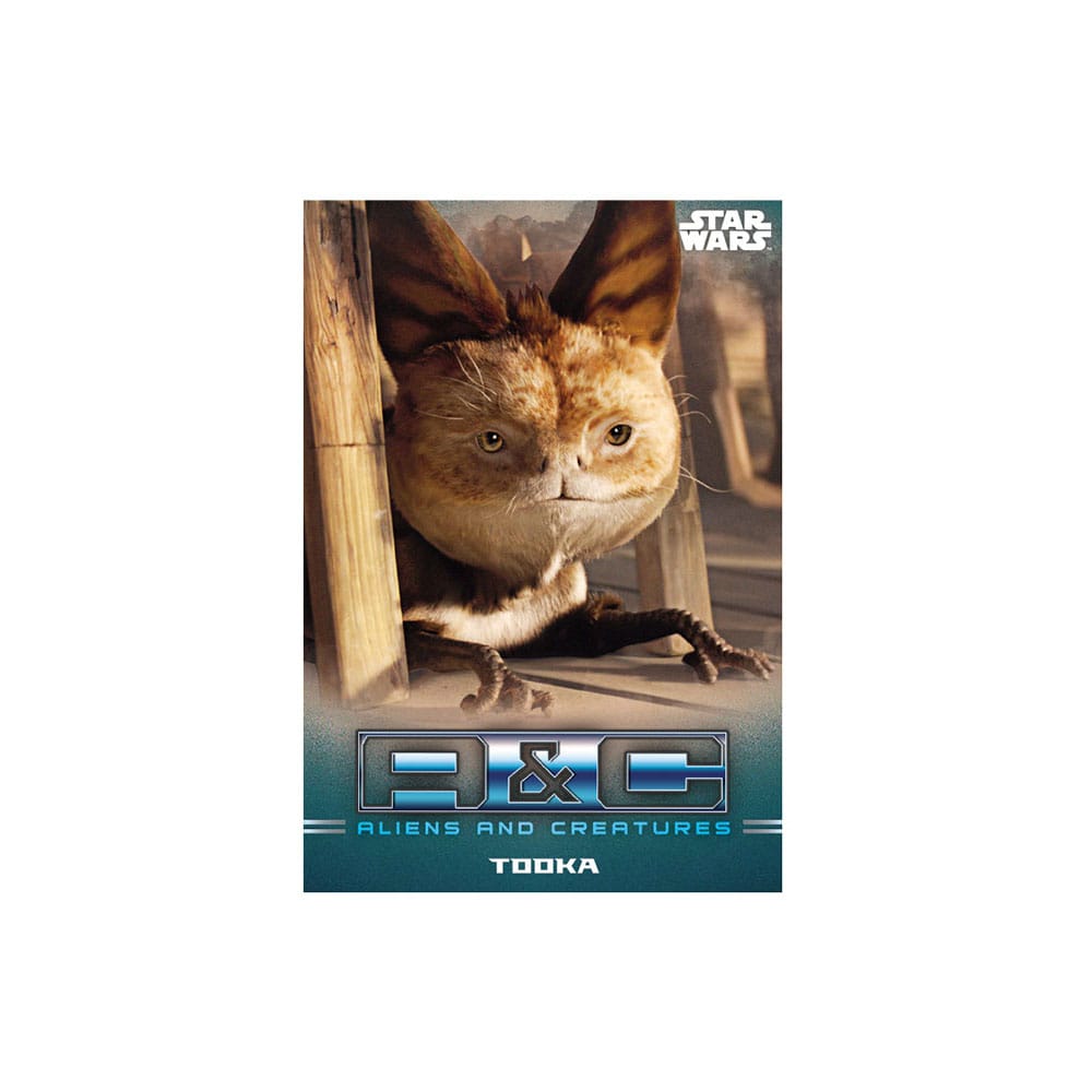 Star Wars: The Mandalorian Trading Cards Nybörjarset *Engelsk Version* Topps/Merlin