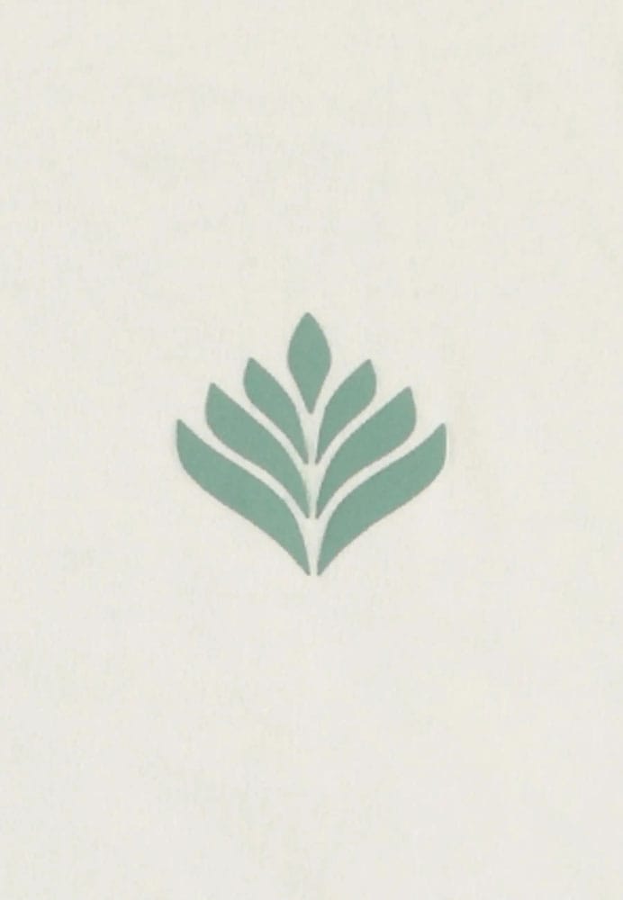 Pokémon Tank Top Bulbasaur Size L Difuzed