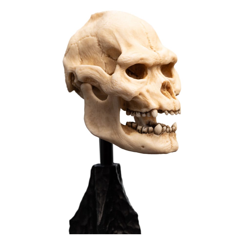 Lord of the Rings Mini Statue: Skull of Lurtz 14 cm Weta Workshop