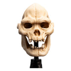 Lord of the Rings Mini Statue: Skull of Lurtz 14 cm Weta Workshop