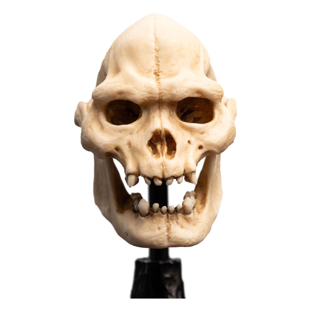 Lord of the Rings Mini Statue: Skull of Lurtz 14 cm Weta Workshop