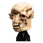 Lord of the Rings Mini Statue Skull av en Cave Troll 21 cm Weta Workshop
