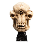 Lord of the Rings Mini Statue Skull av en Cave Troll 21 cm Weta Workshop