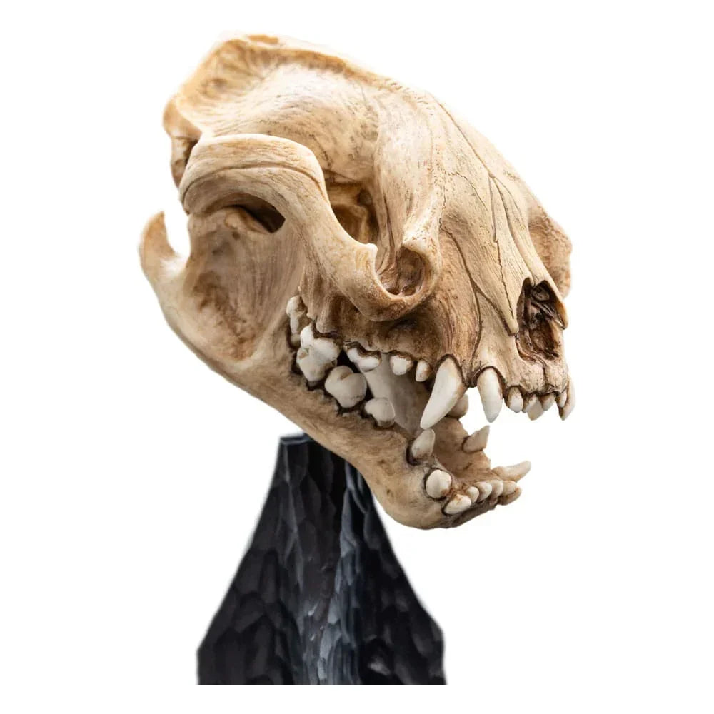 Lord of the Rings Mini Figur Skull of a Warg 20 cm Weta Workshop