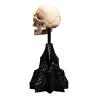 Lord of the Rings Mini Figur: Skallen av en Mordor-Ork 14 cm Weta Workshop