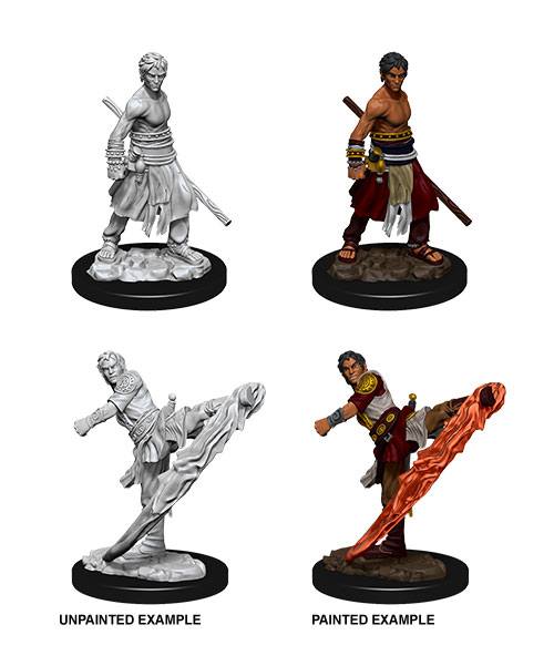 D&D Nolzur's Marvelous Miniatures Unpainted Miniatures Male Half-Elf Monk Case (6) Wizkids