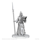 Pathfinder Deep Cuts Unpainted Miniatures Vloriak (Despoiler Demon) & Demonologist Wizkids