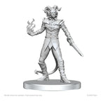 Pathfinder Deep Cuts Omålade Miniatyrer Vordine (Infantry Devil) & Pitborn Rogue Wizkids