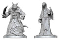 Pathfinder Battles Deep Cuts Omålade Minifigurer Zyss & Aapoph Serpentfolk 13 cm