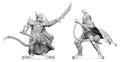 Pathfinder Battles Deep Cuts Unpainted Miniature Scourge & Chain Hellknights 14 cm