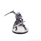 D&D The Legend of Drizzt 35-årsjubileum: Family & Foes Boxed Set Wizkids