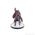 D&D The Legend of Drizzt 35-årsjubileum: Family & Foes Boxed Set Wizkids