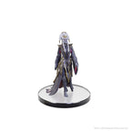 D&D The Legend of Drizzt 35-årsjubileum: Family & Foes Boxed Set Wizkids