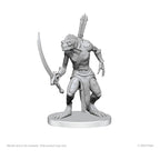 Pathfinder Deep Cuts Omålade Miniatyrer: Xulgath Skirmisher & Stoneliege Wizkids