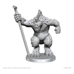 Pathfinder Deep Cuts Omålade Miniatyrer: Xulgath Skirmisher & Stoneliege Wizkids