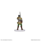 Dungeons & Dragons: Heroes of Hellfire - Stranger Things Wizkids